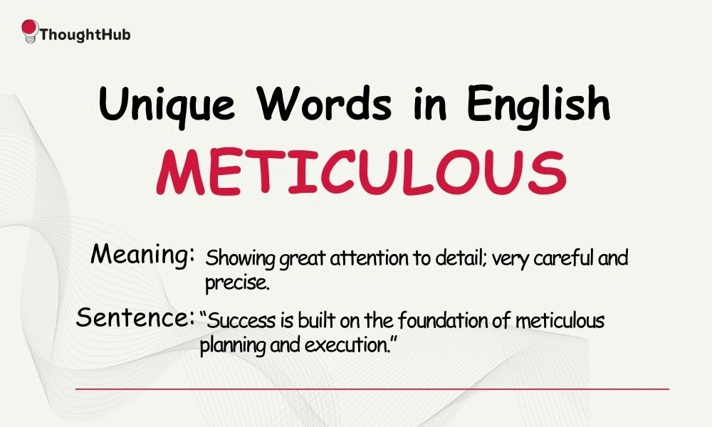 Meticulous: Showing great attention to detail, unique English word.