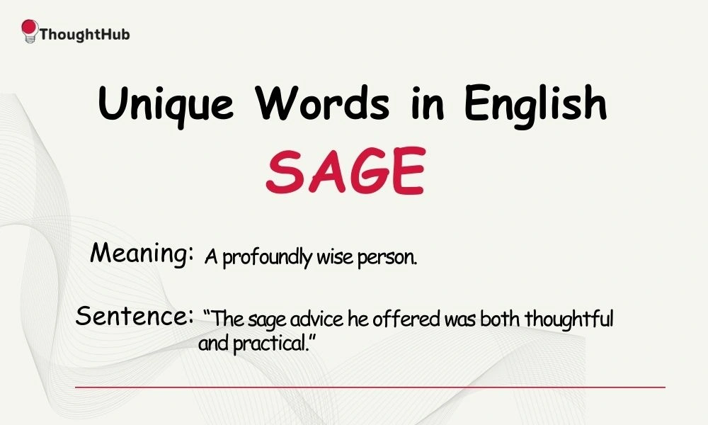 Sage: A profoundly wise person, unique English word.