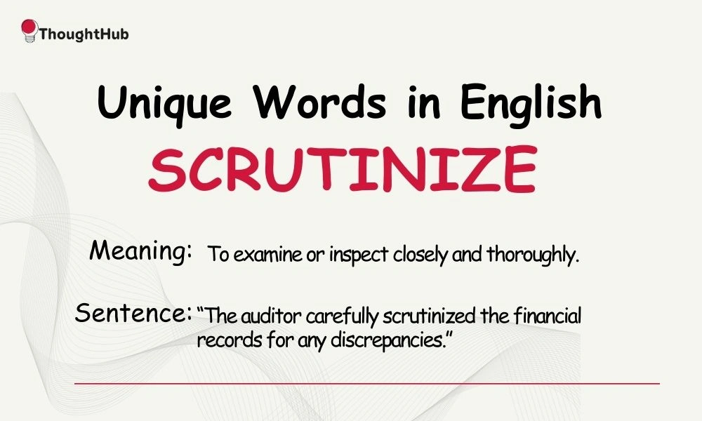 Scrutinize: To examine closely and thoroughly, unique English word.